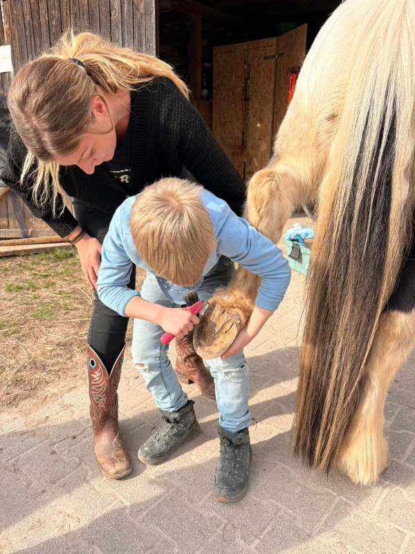 Nähe zum Pony
