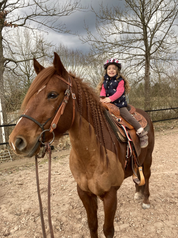 Reiten und Vertrauen